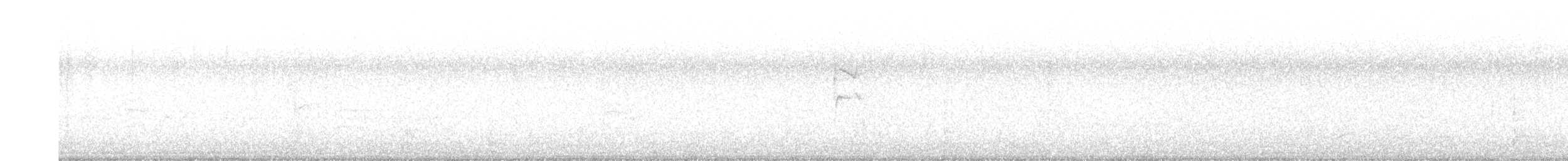 White-crested Elaenia - ML644344828