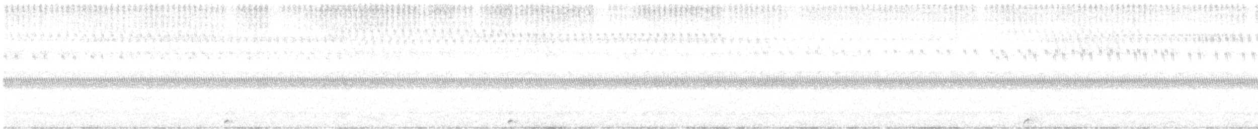 pauraquenattravn - ML644345011