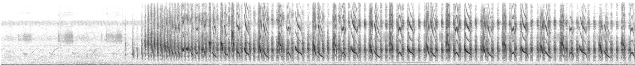 Ak Sokumlu Tangara - ML644345093
