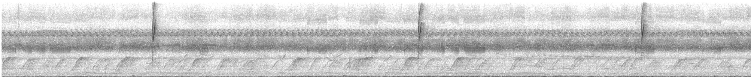 Tangara à camail - ML644345100