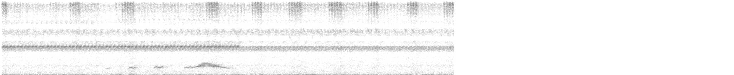 pauraquenattravn - ML644345207