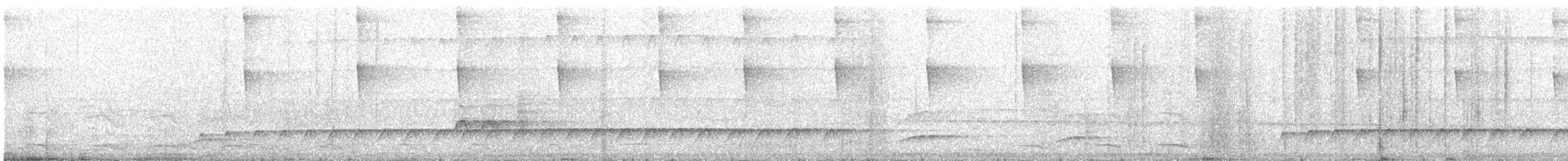 Dull-capped Attila - ML644345541