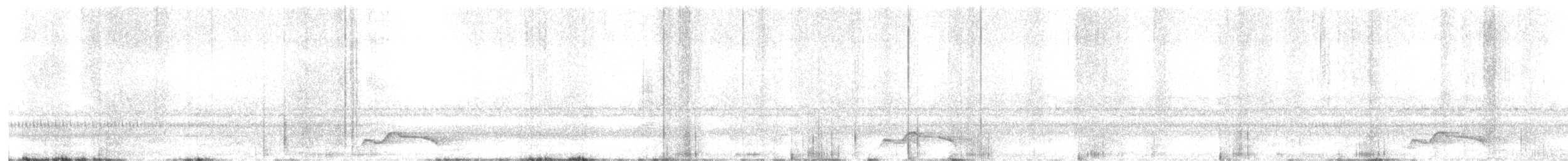 pauraquenattravn - ML644345640