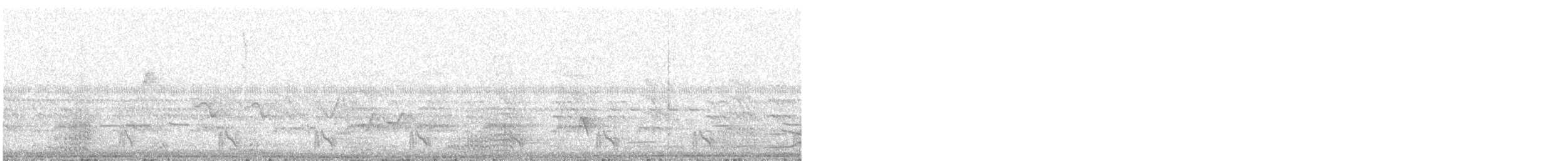 Grisin ardoisé - ML644345758