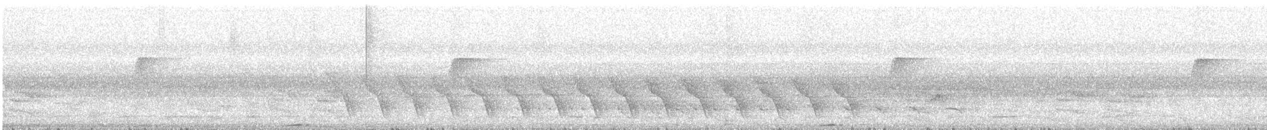 Black-capped Donacobius - ML644345960