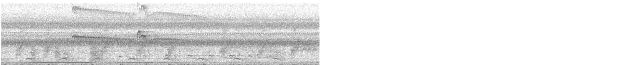 Plain Tyrannulet - ML644346031