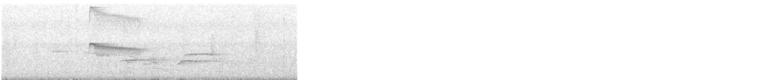 Plain Tyrannulet - ML644346032