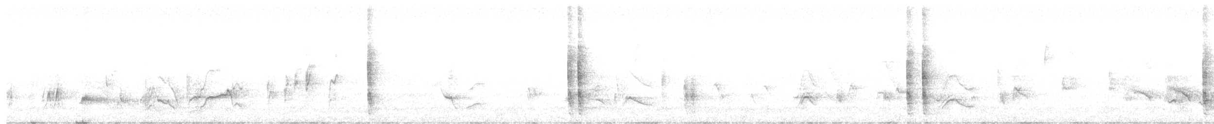 Long-billed Thrasher - ML644346064