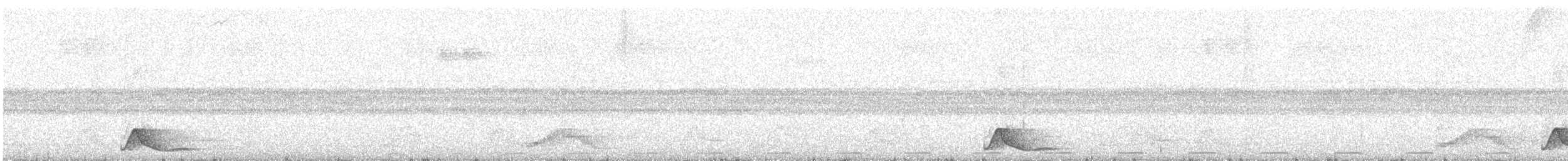 Tawny-bellied Screech-Owl - ML644346116