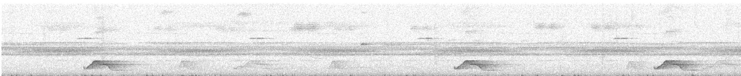 pauraquenattravn - ML644346277