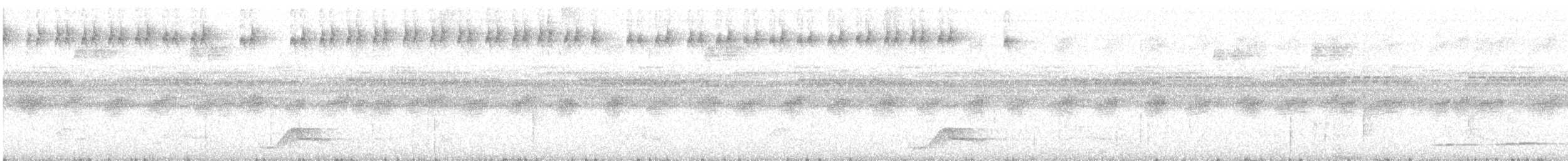 pauraquenattravn - ML644346278