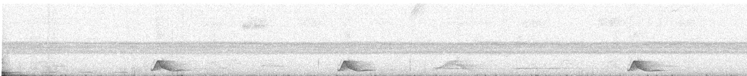 pauraquenattravn - ML644346280