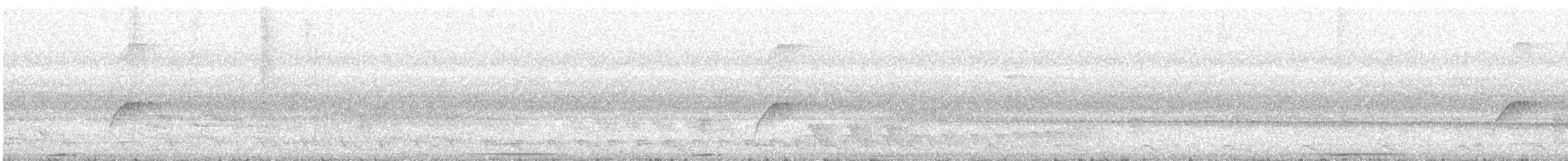 bladflatnebb - ML644346546