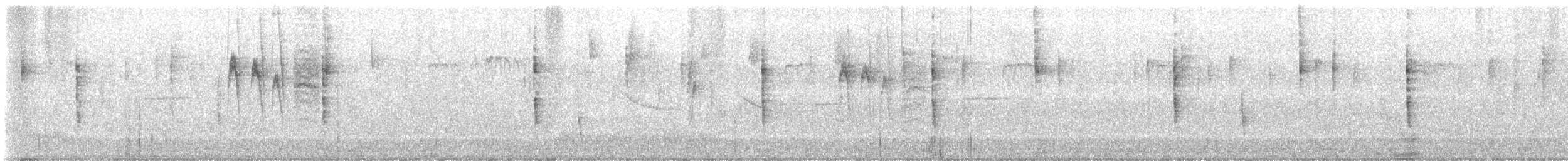 Болотянка строкатовола - ML644347057