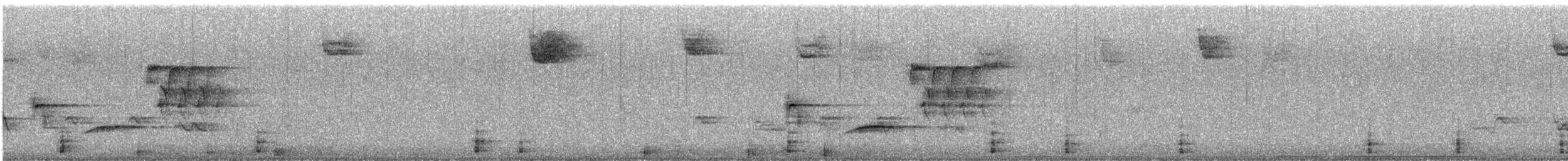 kalkun - ML644347249