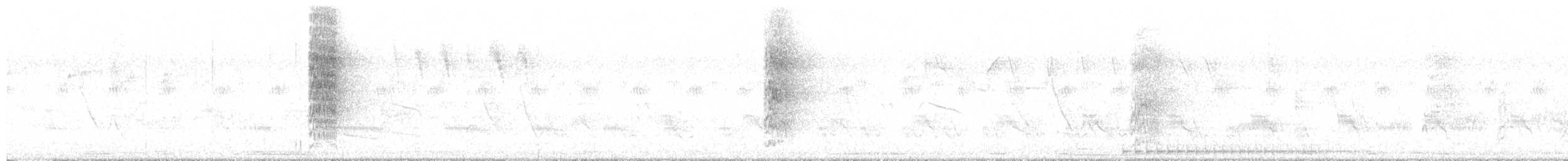 Black-bodied Woodpecker - ML644347529