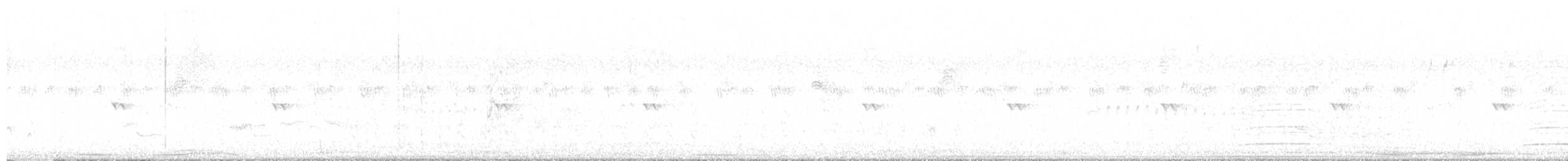 Black-bodied Woodpecker - ML644347530