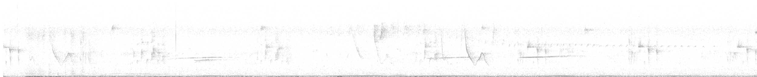 stripegjøk - ML644347887