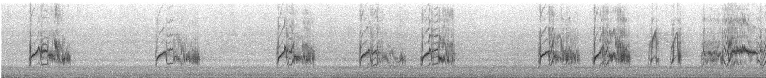 brunørebylbyl - ML644348527