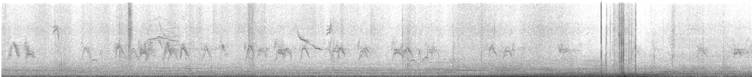 Amerika Çütresi - ML644348741