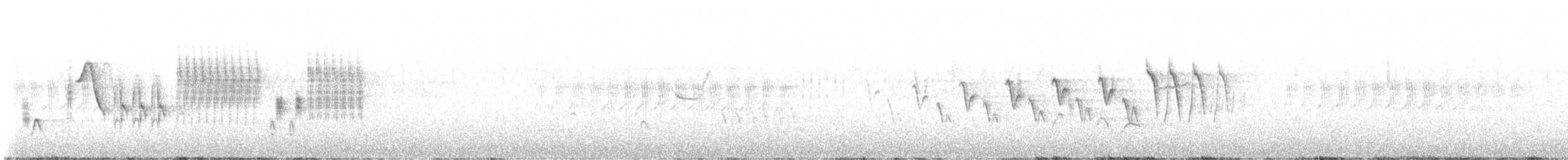 Зелёнохвостый тохи - ML644349492