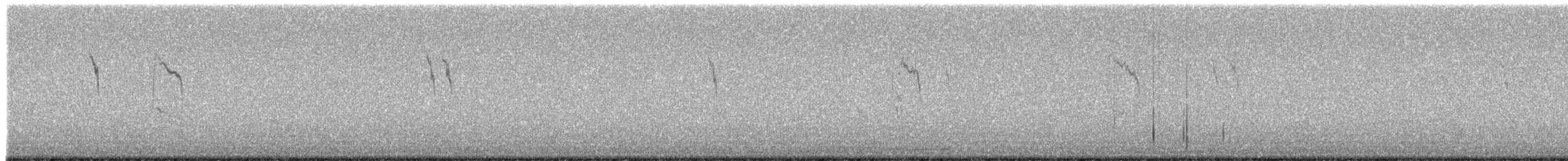 lappiplerke - ML644349700