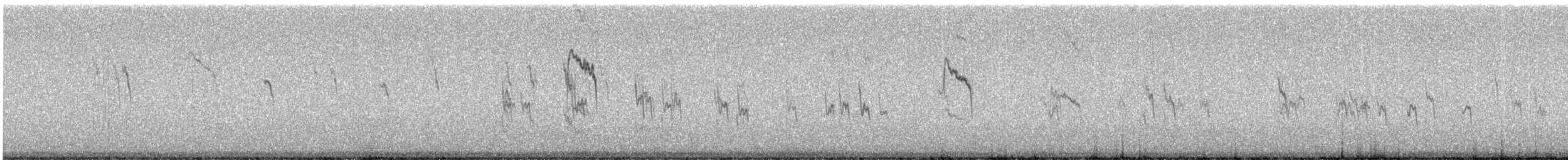 lappiplerke - ML644349701