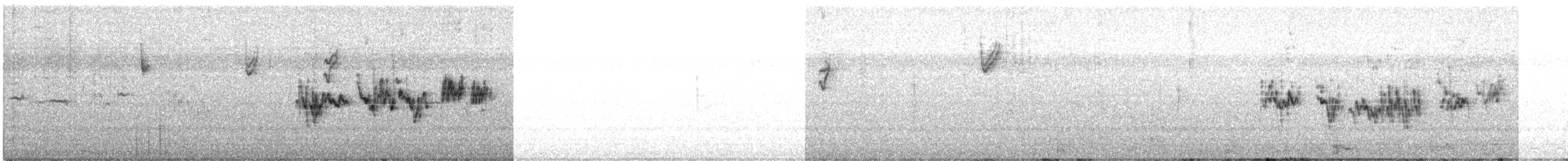 hvitkronespurv - ML644349706