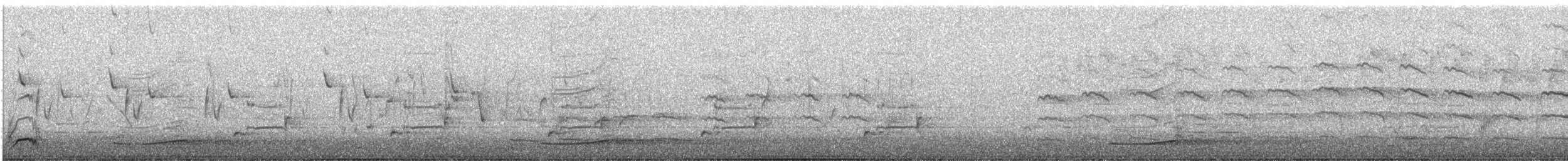 skravlehonningeter - ML644349781