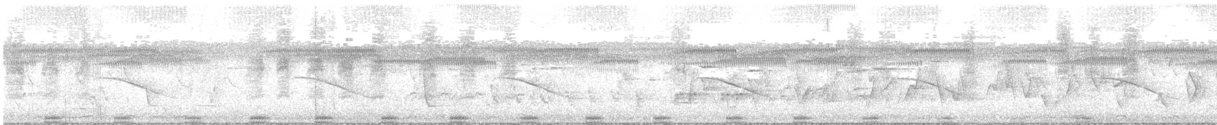 Horsfield's Bronze-Cuckoo - ML644350118