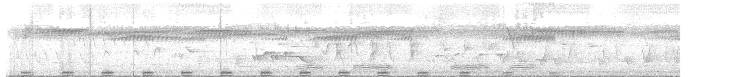 Black-backed Bittern - ML644350169