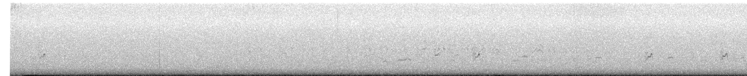 Peruvian Tern - ML644350671