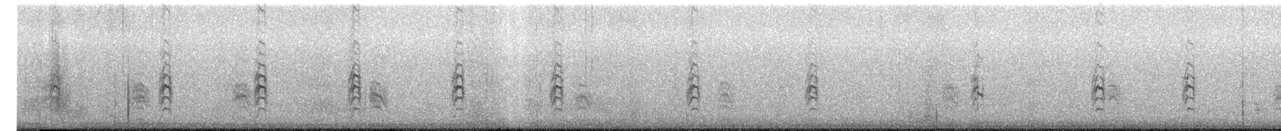 Peruvian Tern - ML644350673