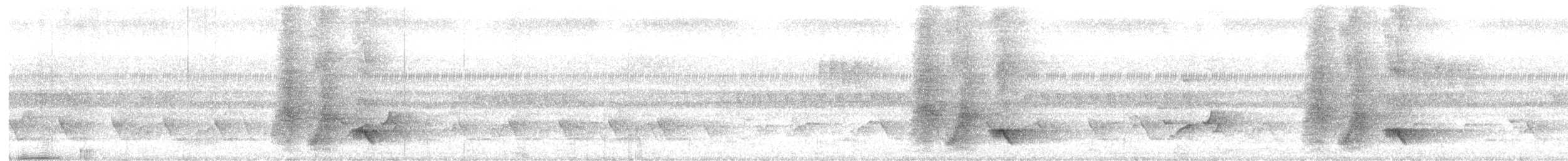 Greater Racket-tailed Drongo - ML644352024