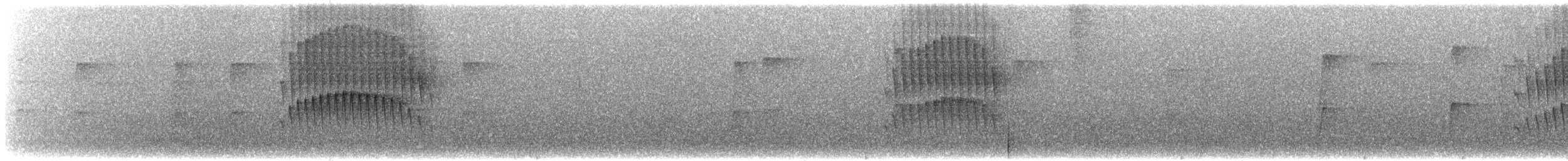 Olivaceous Woodcreeper - ML644352551