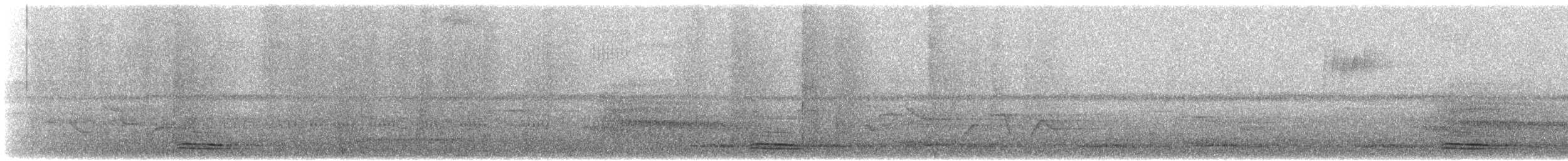 Keel-billed Motmot - ML644352649