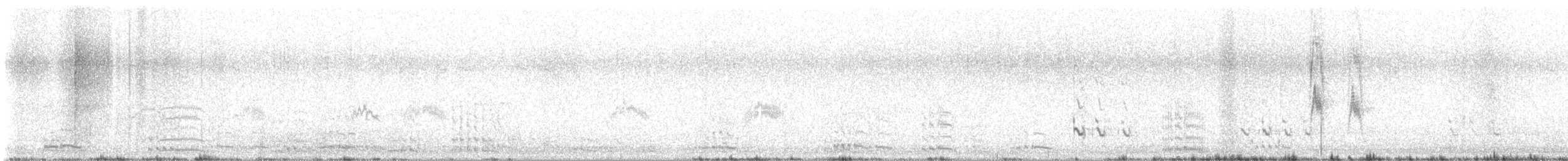 פפיון ארך-רגליים - ML644352682