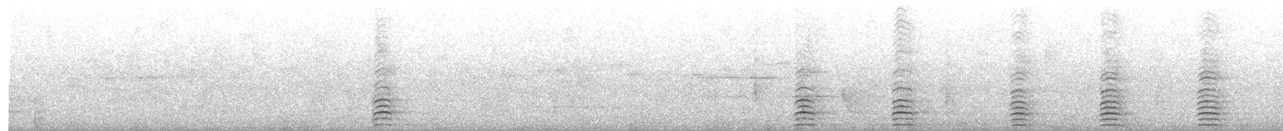 Black Currawong - ML644352767