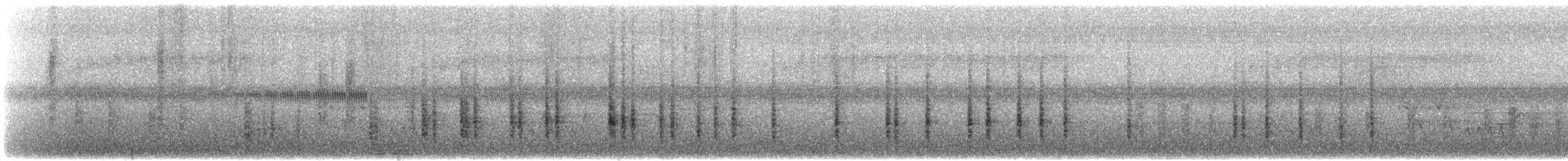 Southern House Wren - ML644352792