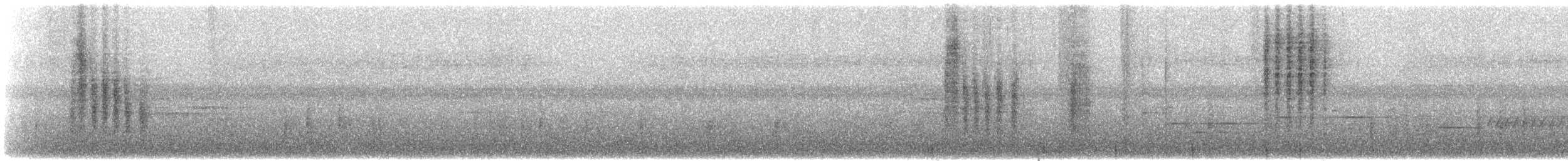 Southern House Wren - ML644352793