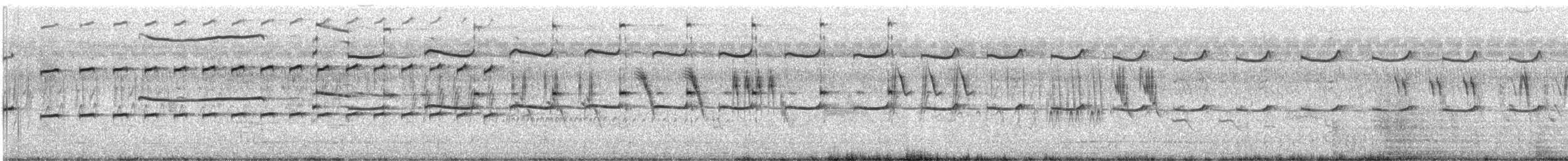 Great Thick-knee - ML644353142