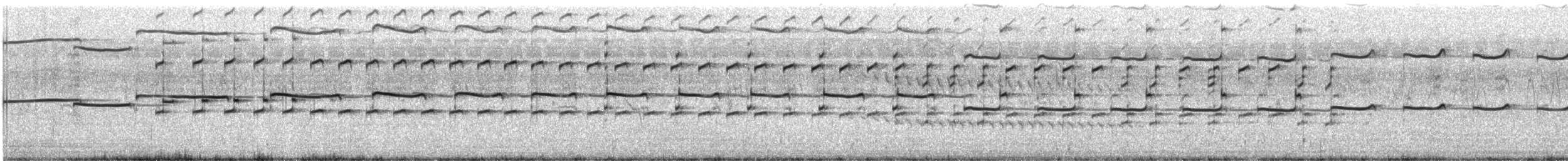 Great Thick-knee - ML644353144