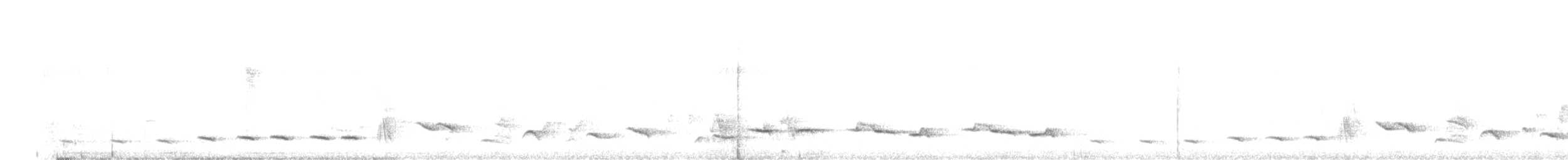 Snowy-crowned Robin-Chat - ML644353176