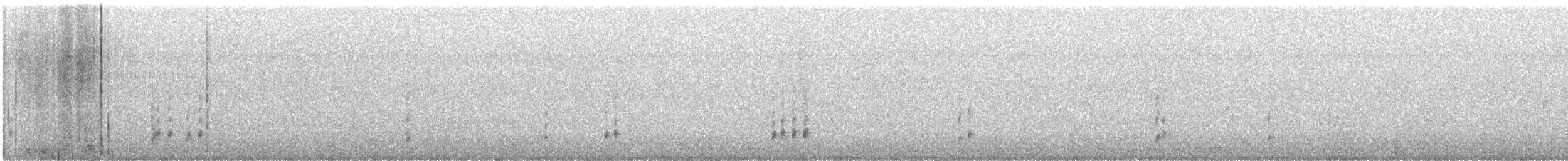 チャバラマユミソサザイ - ML644353354