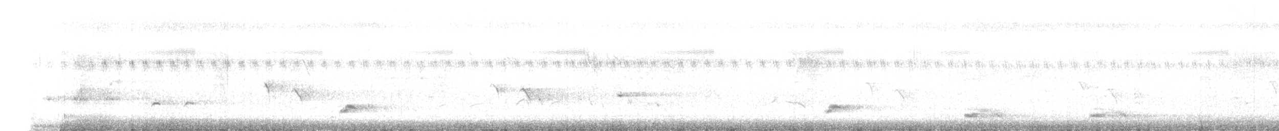 Kara Drongo - ML644354002