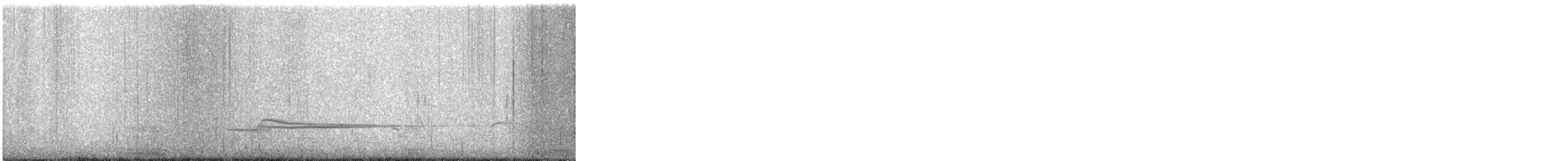 Chorlito Gris - ML644354199