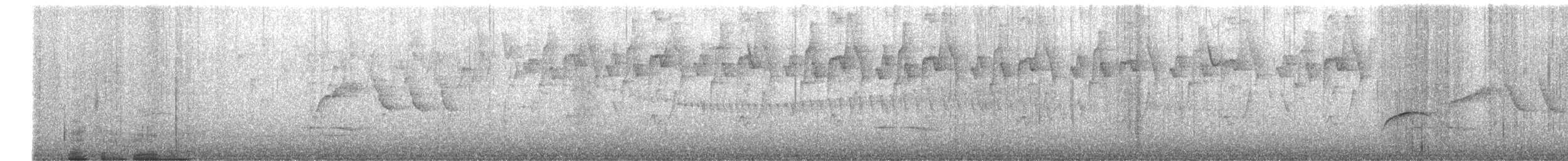 Bolivian Antpitta - ML644354459