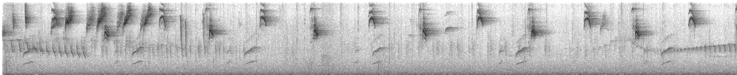 Bruant chingolo - ML644354568