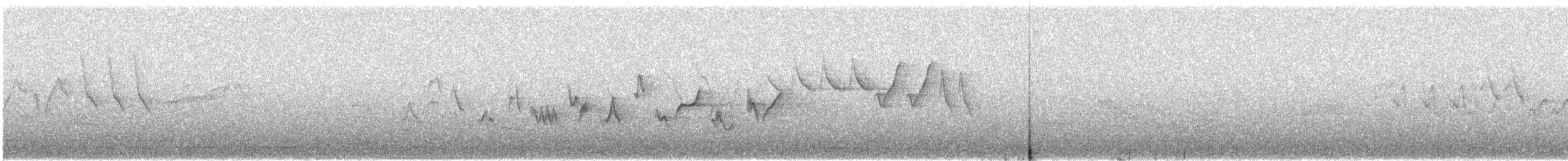 Western Warbling Vireo - ML644354832