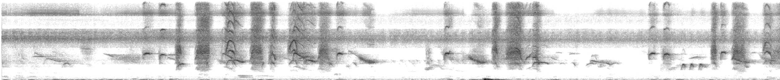 Kara Drongo - ML644354967